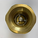 1.25" Back Check Valve