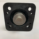 Blackmer TXD Pump Air Diaphragms